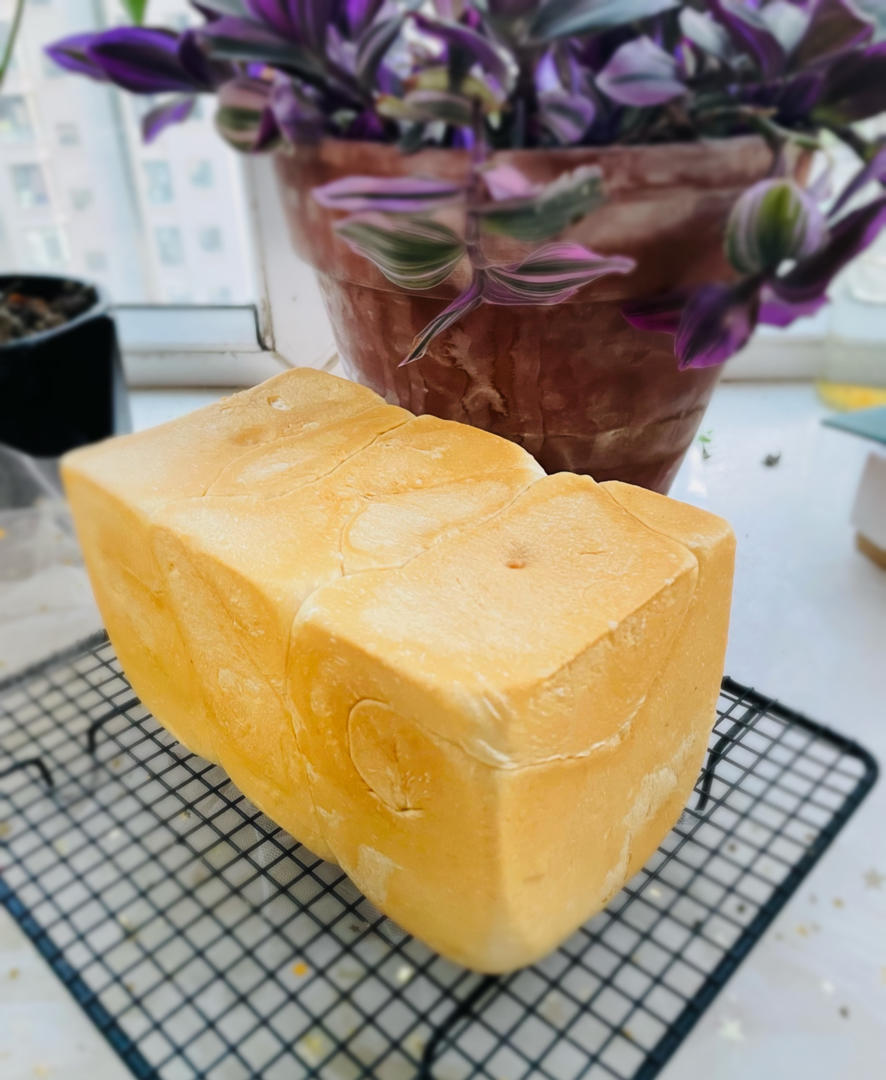 全网最简单吐司面包🍞
