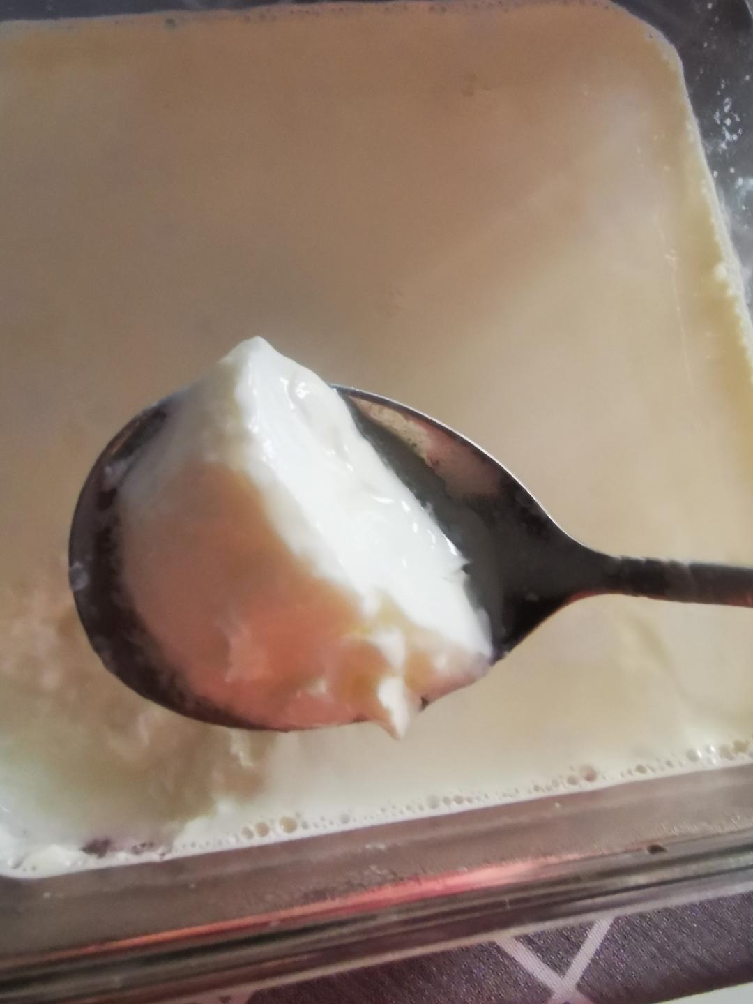 超级好吃的自制酸奶比例！——卡士酸奶在家做