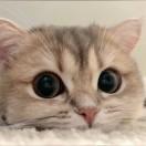 手机用户7089_nk8z