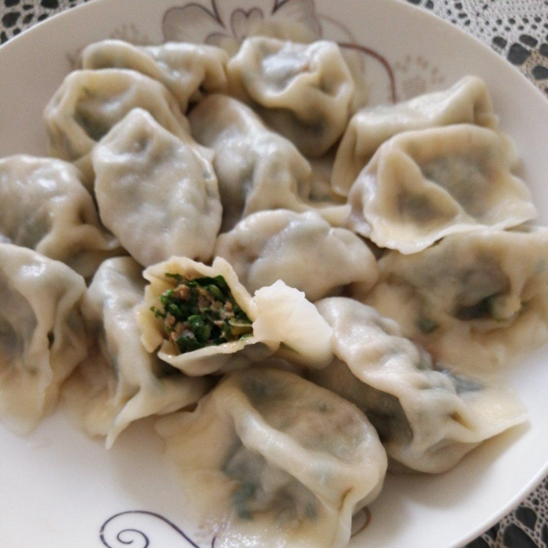 香菜猪肉饺子