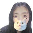 萝卜萝卜萝卜呀
