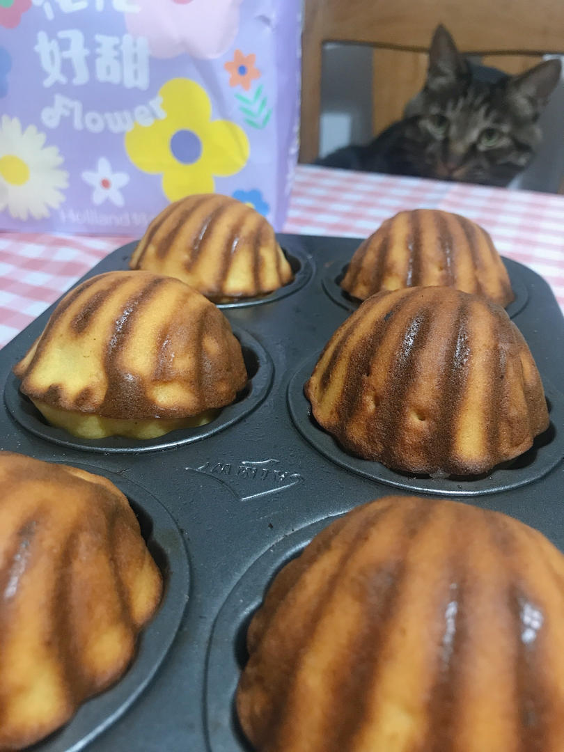 玉米面包 Cornbread