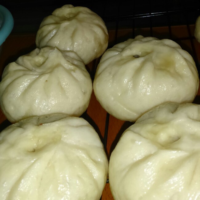 堂妈教你山菜鲜肉大包子
