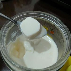 电饭锅酸奶，很容易的做法 步骤4