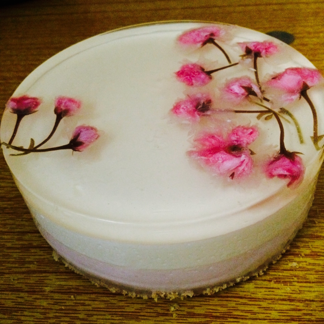 🌸樱花冻芝士蛋糕🌸6寸