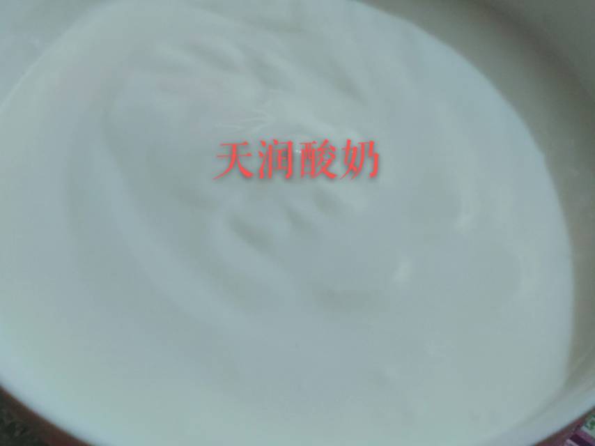 8寸酸奶芒果慕斯（无奶油版）