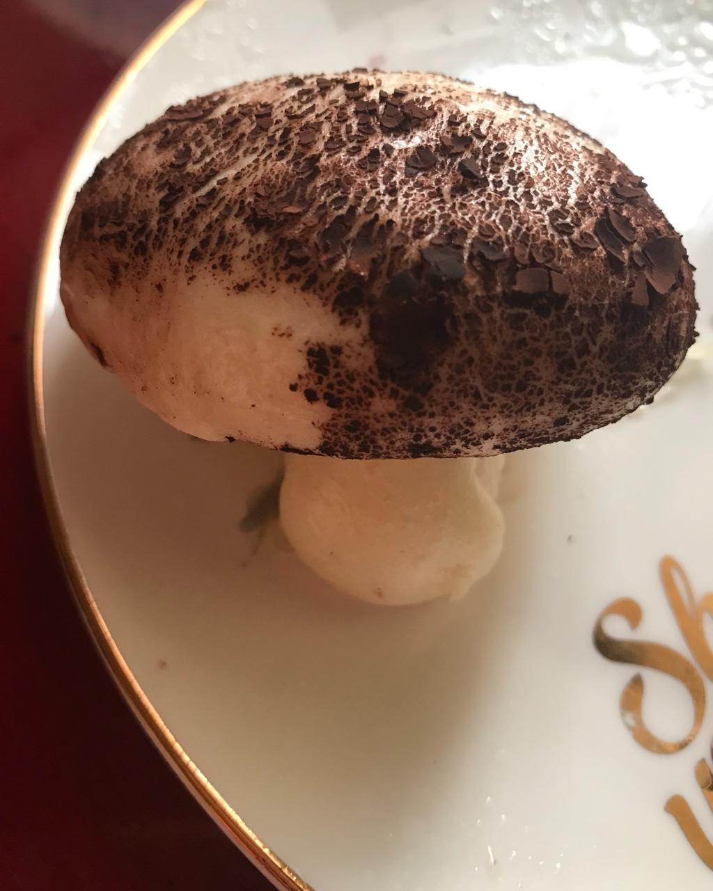 蘑菇包