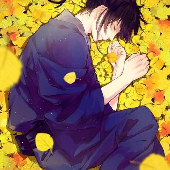 风中居住的少年