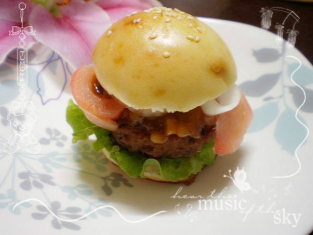 汉堡胚（中种法）