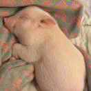 享受生活宏的厨房