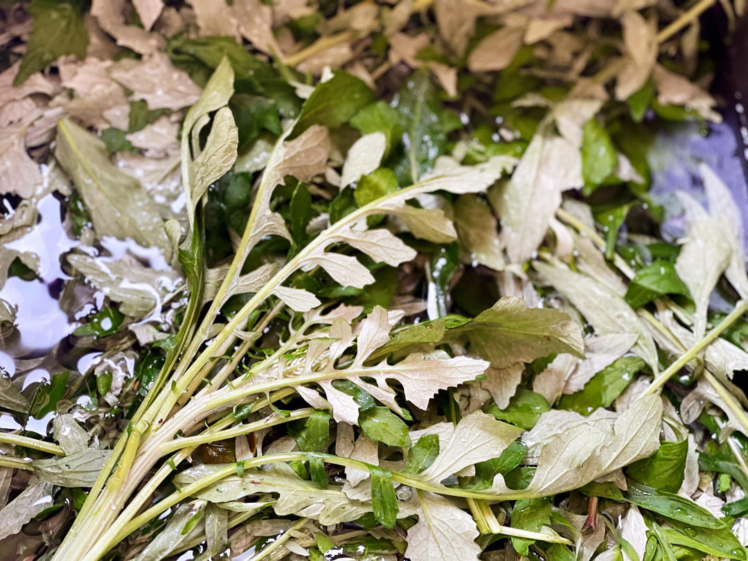 青团原料 | 艾草泥（汁）的做法