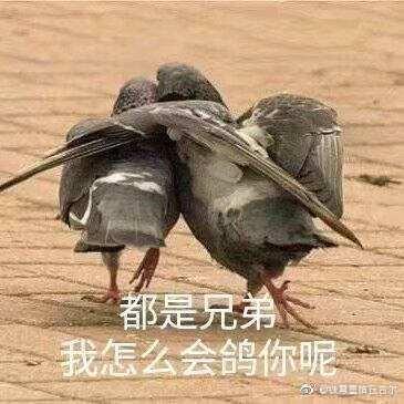 新疆蘑菇肉拌面