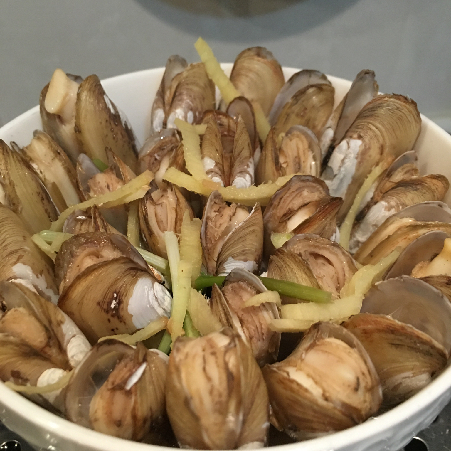 原汁原味的插蛏（蛏子）