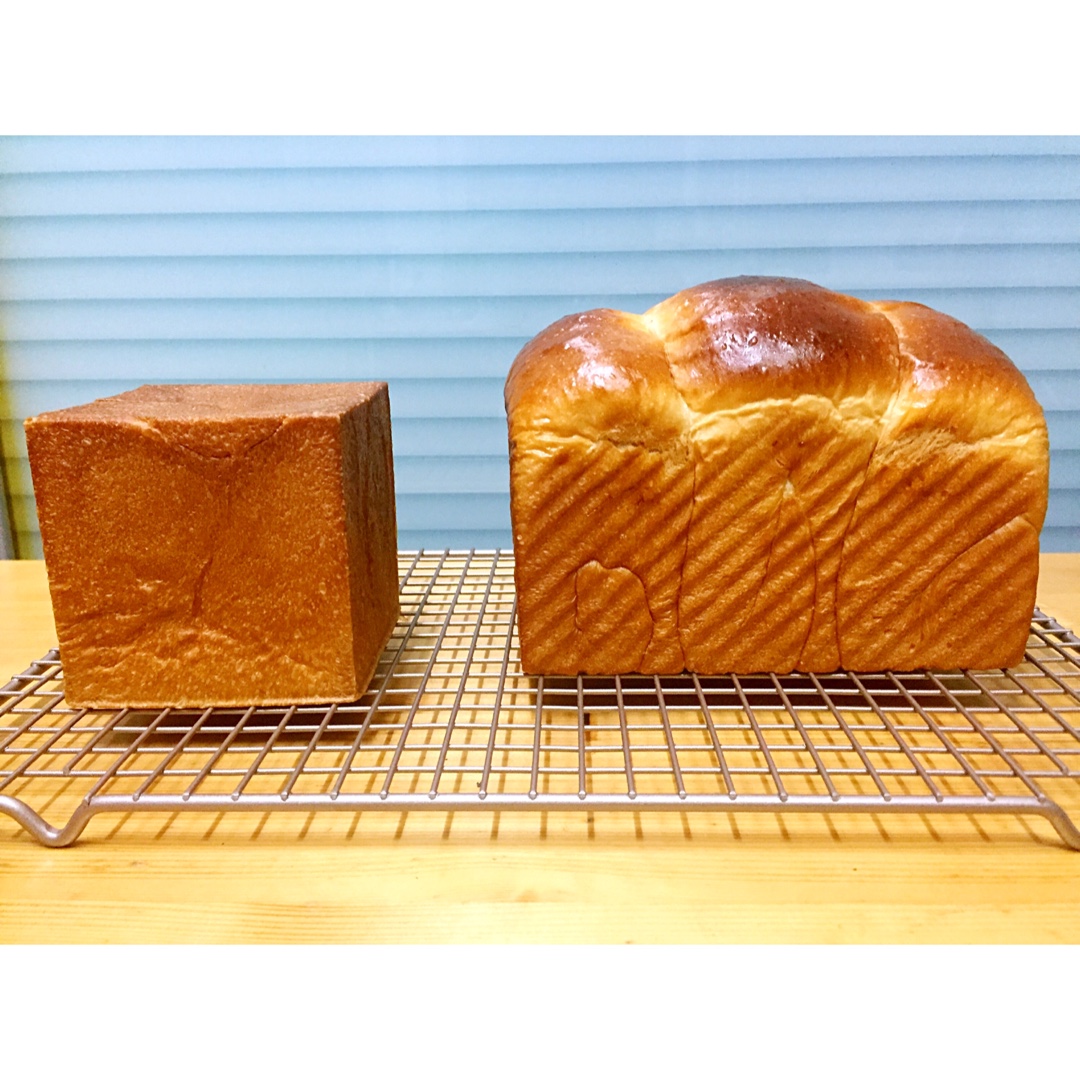 炼乳吐司～中种，