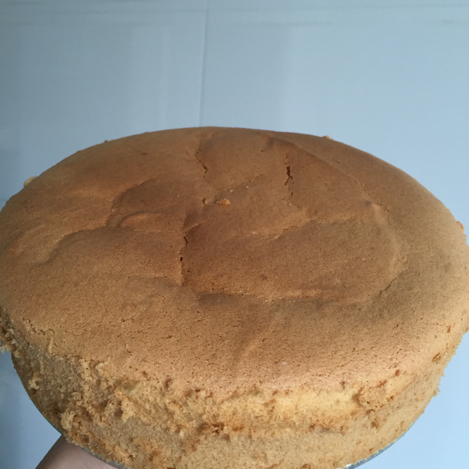 果子学校可可戚风