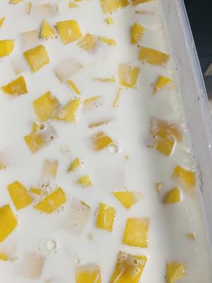 芒果牛奶布丁的做法 步骤3
