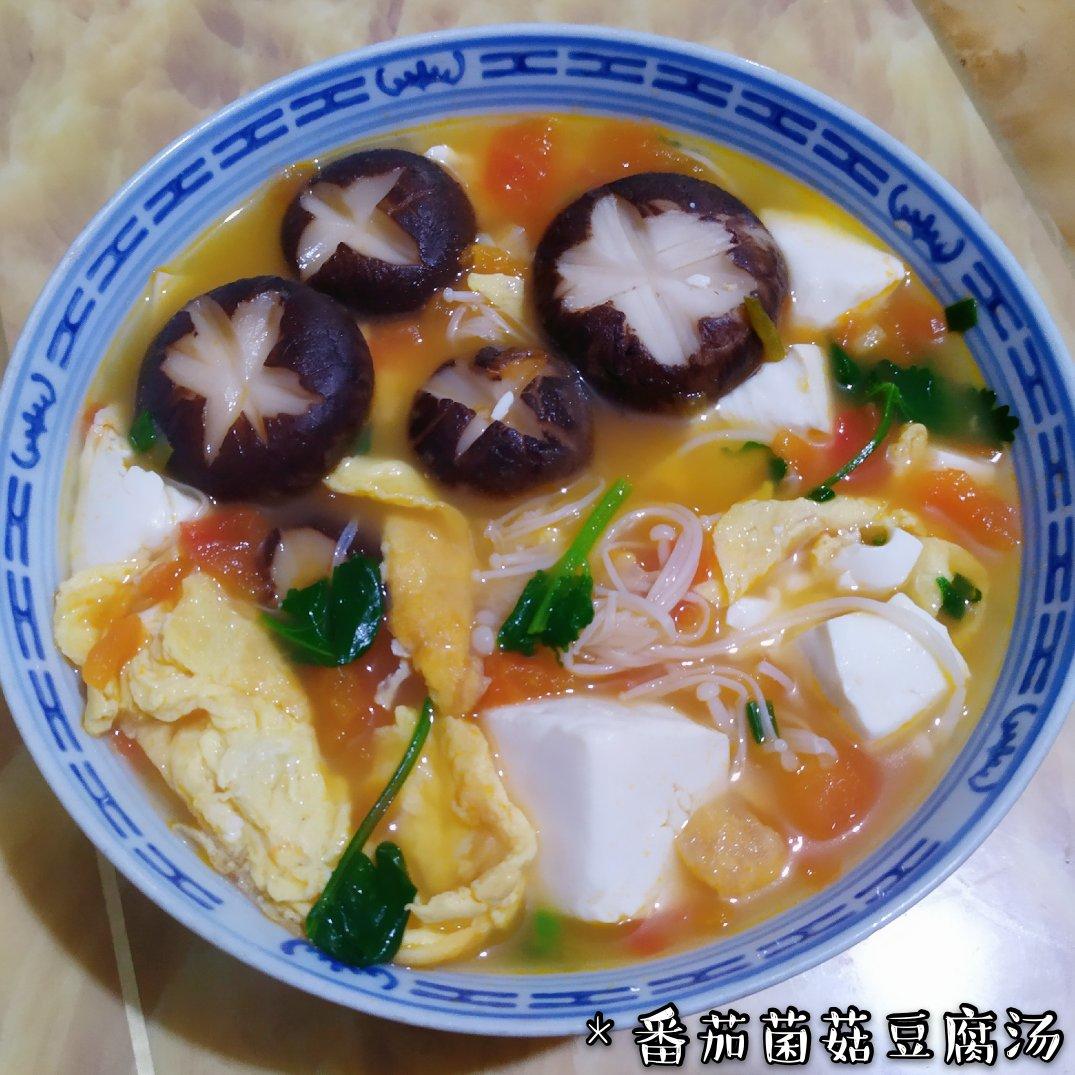 西红柿菌菇豆腐汤