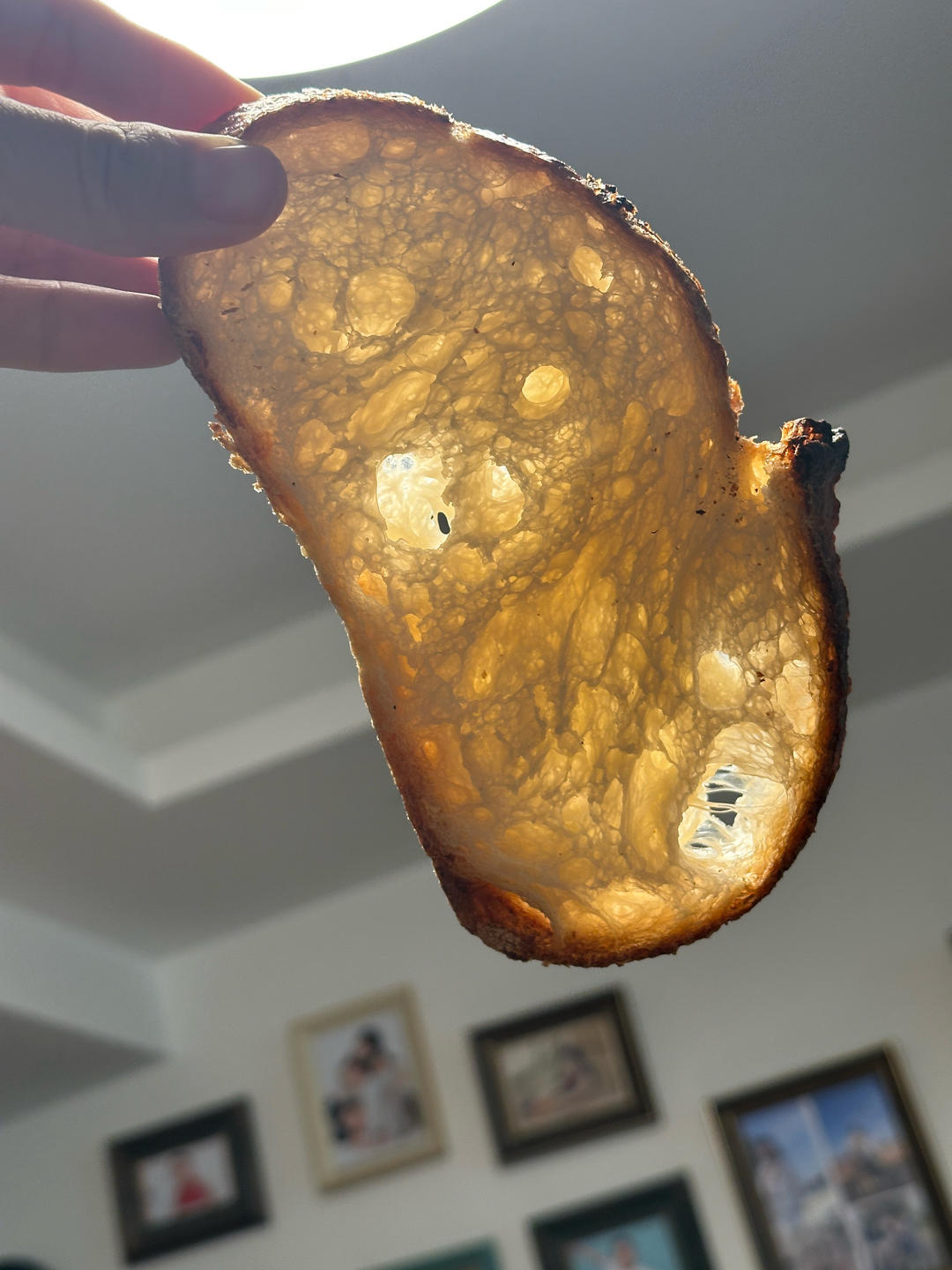 鲁邦种小白欧包（新手也能成功的懒人欧包）