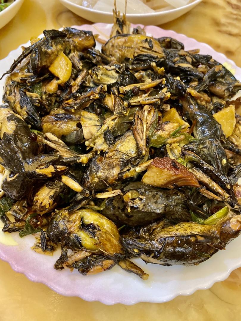 豺女zz做的香酱林蛙