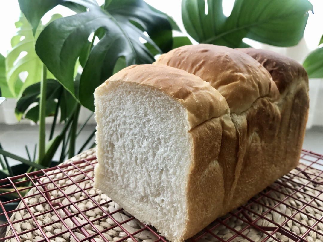 5度冰种纯乳清吐司～polish液种