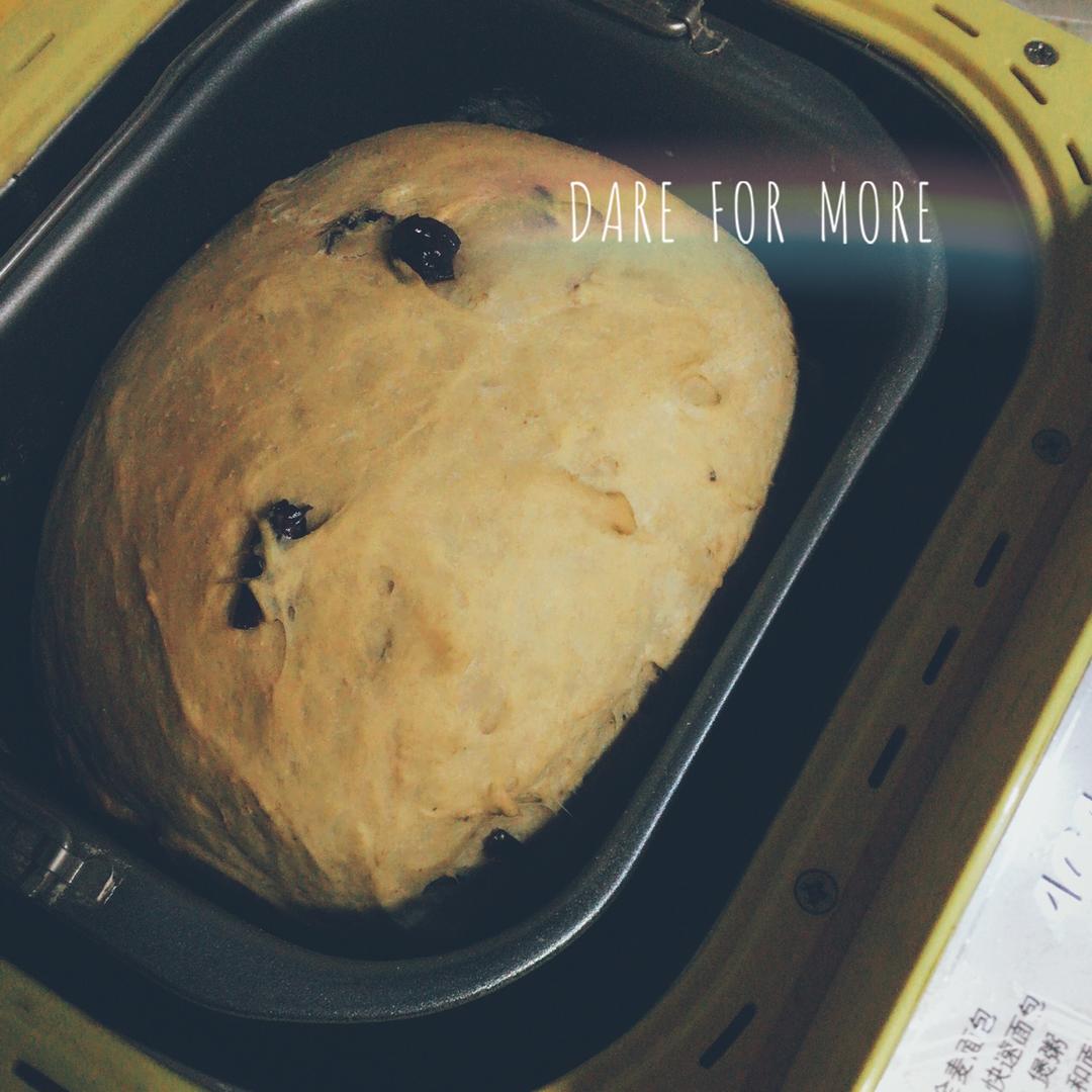 全麦面包面包机版