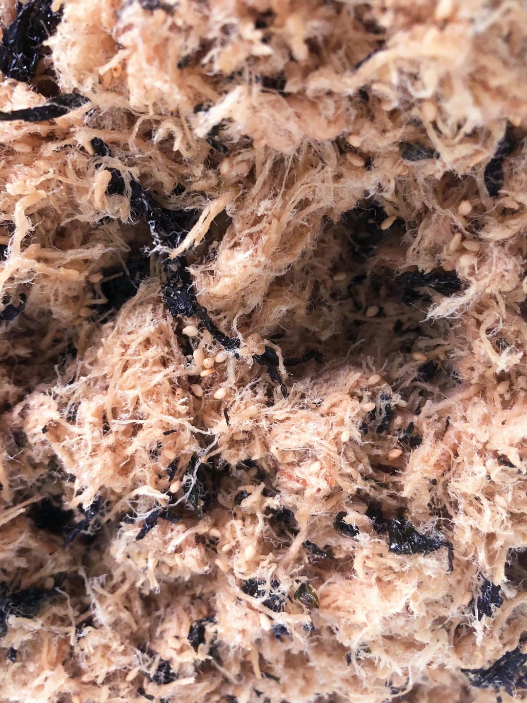 自制肉松（厨师机、烤箱版)