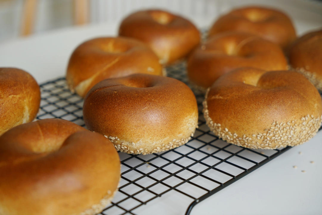 100%天然酵母贝果 - sourdough bagels