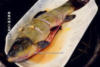 清蒸丁桂鱼的做法 步骤2