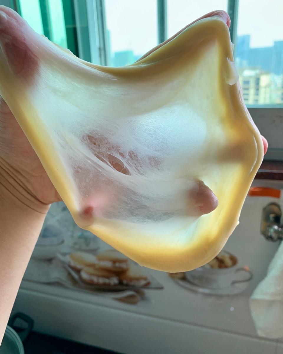 博世54251厨师机手套膜