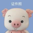 二十初仲夏的树