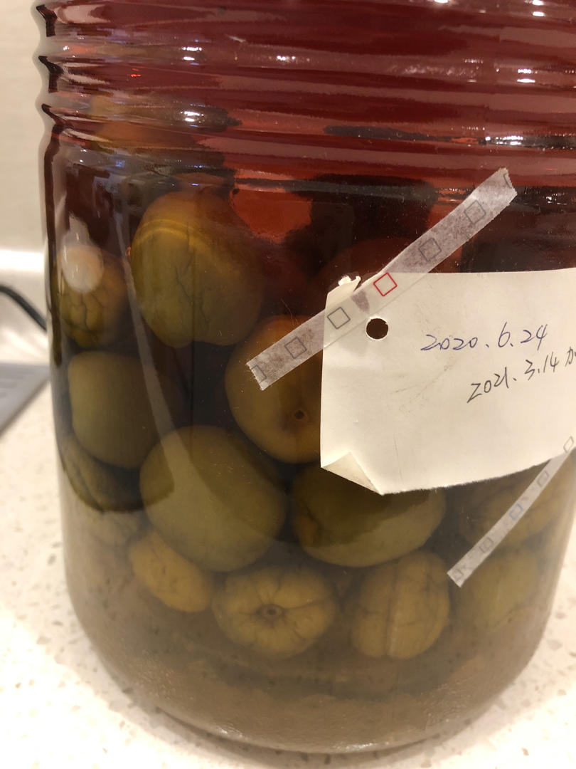 【青梅酒】梅子的沉醉时光（已填坑）