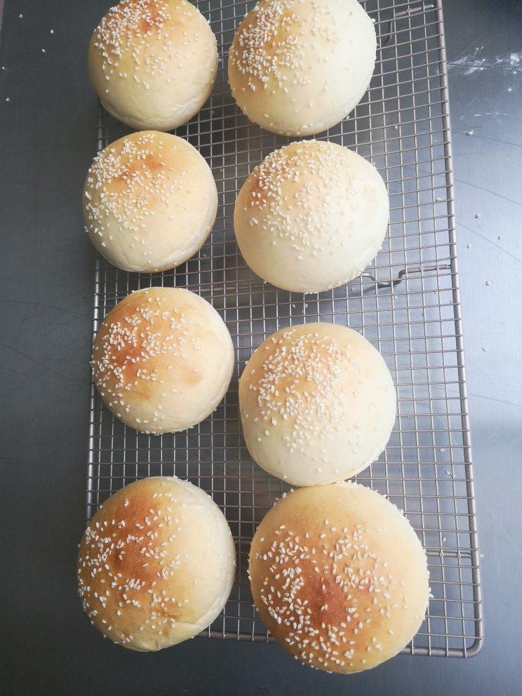 鲜奶汤种汉堡胚