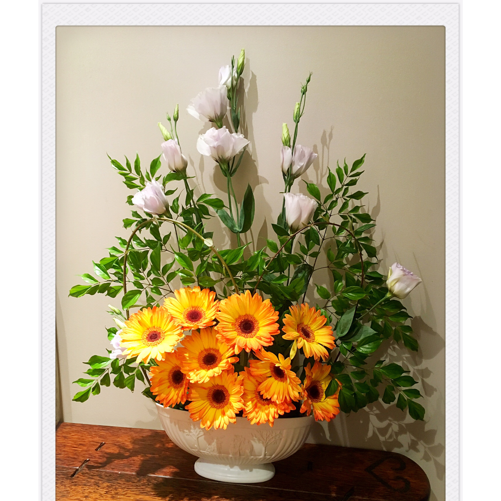 我家的花花草草