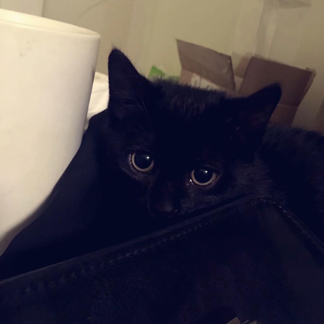 一个人吃饭也要有气势