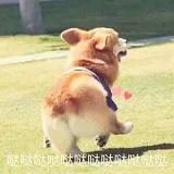 假装自己是大厨