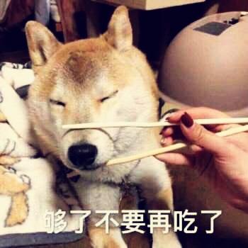 你是可爱的宝宝吗