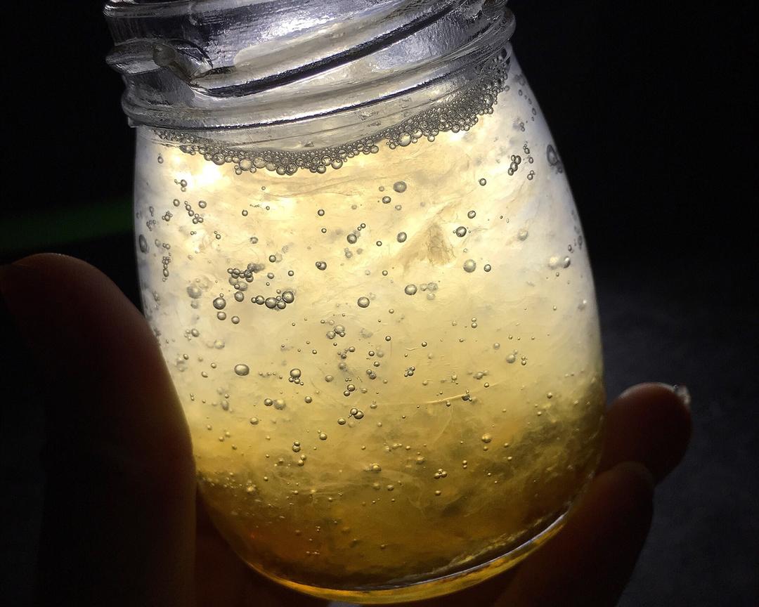石蜂糖燕窝的做法