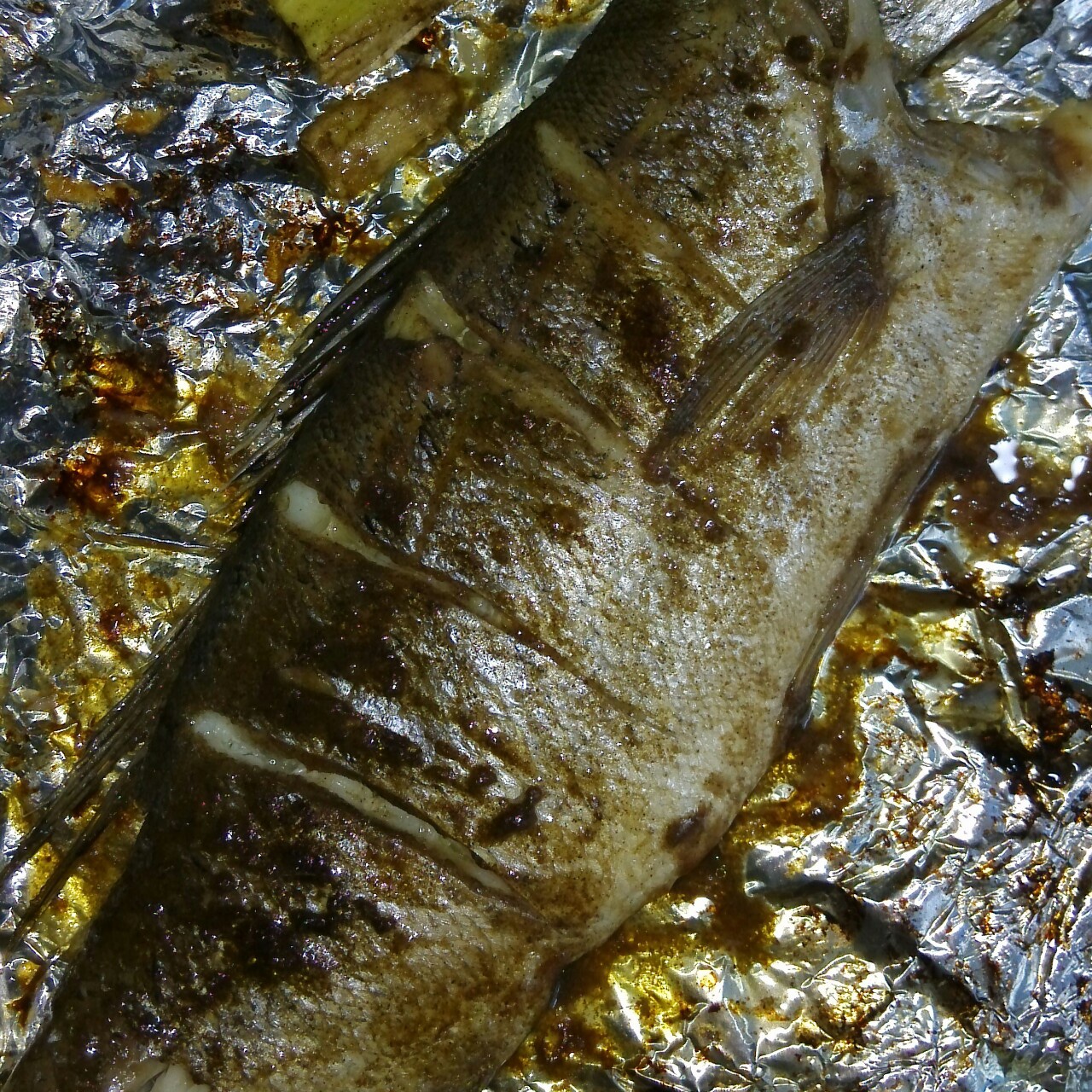 盐烤鲈鱼
