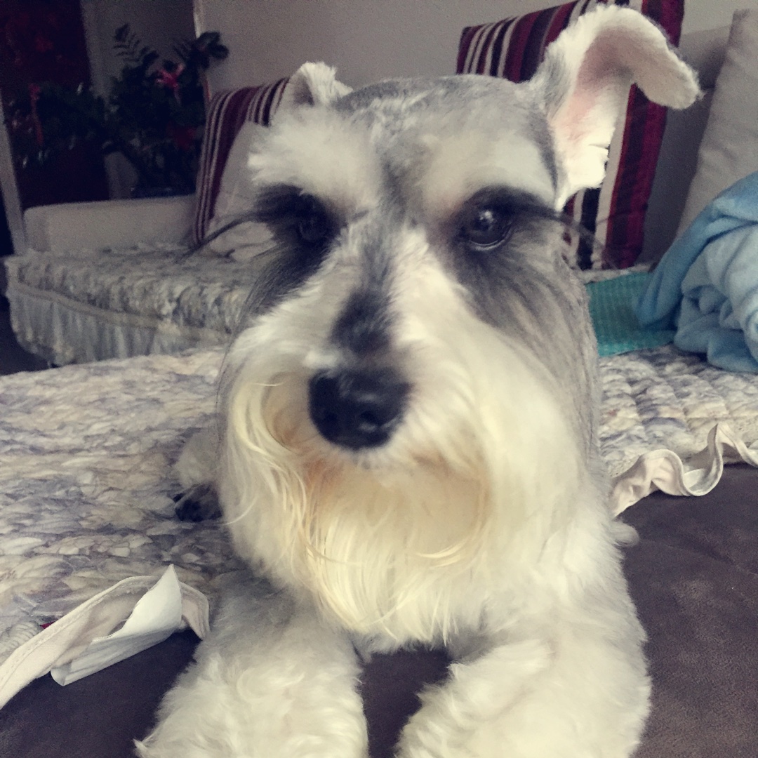 手机用户8884_m8x0