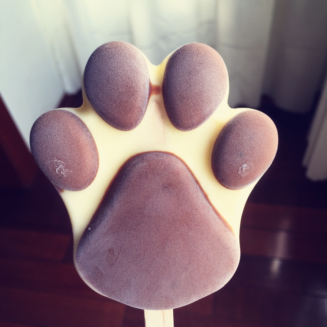 椰椰椰子汁儿做的熊爪酸奶雪糕