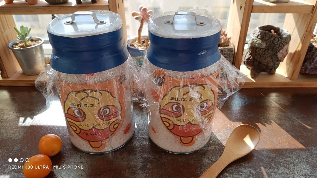 老中医推荐的止咳化痰咸金桔