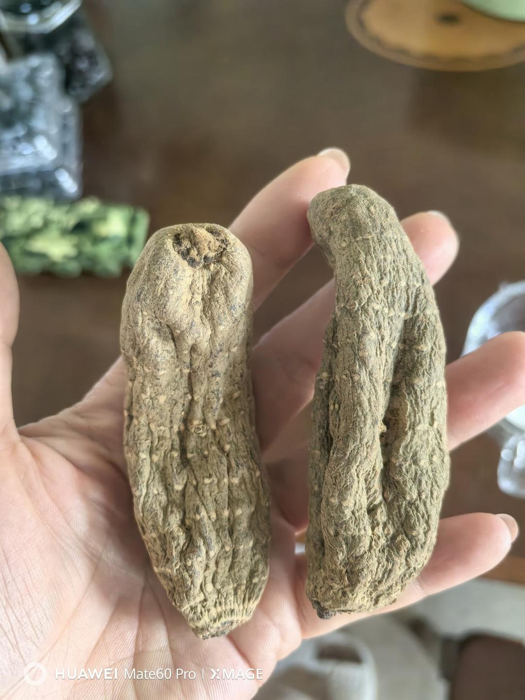 如何把整个天麻切片