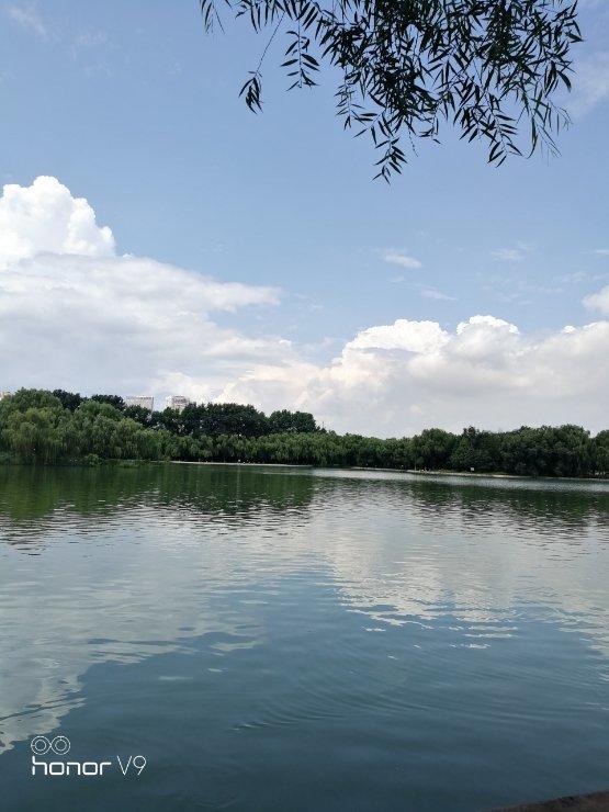 阳春面