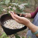 果妈与三鼎庄园