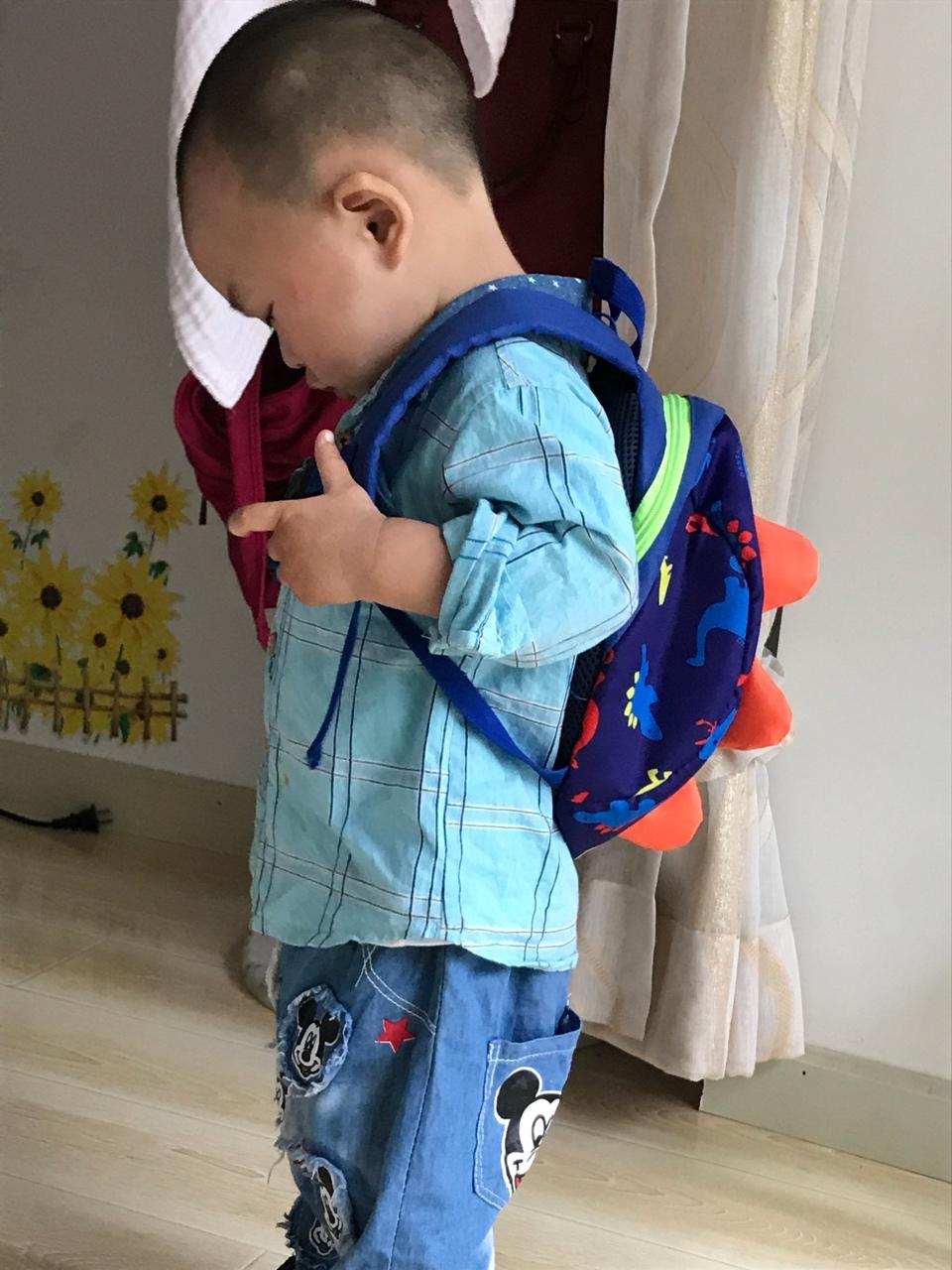 家常酱香肉饼 Minced Pork Pancake