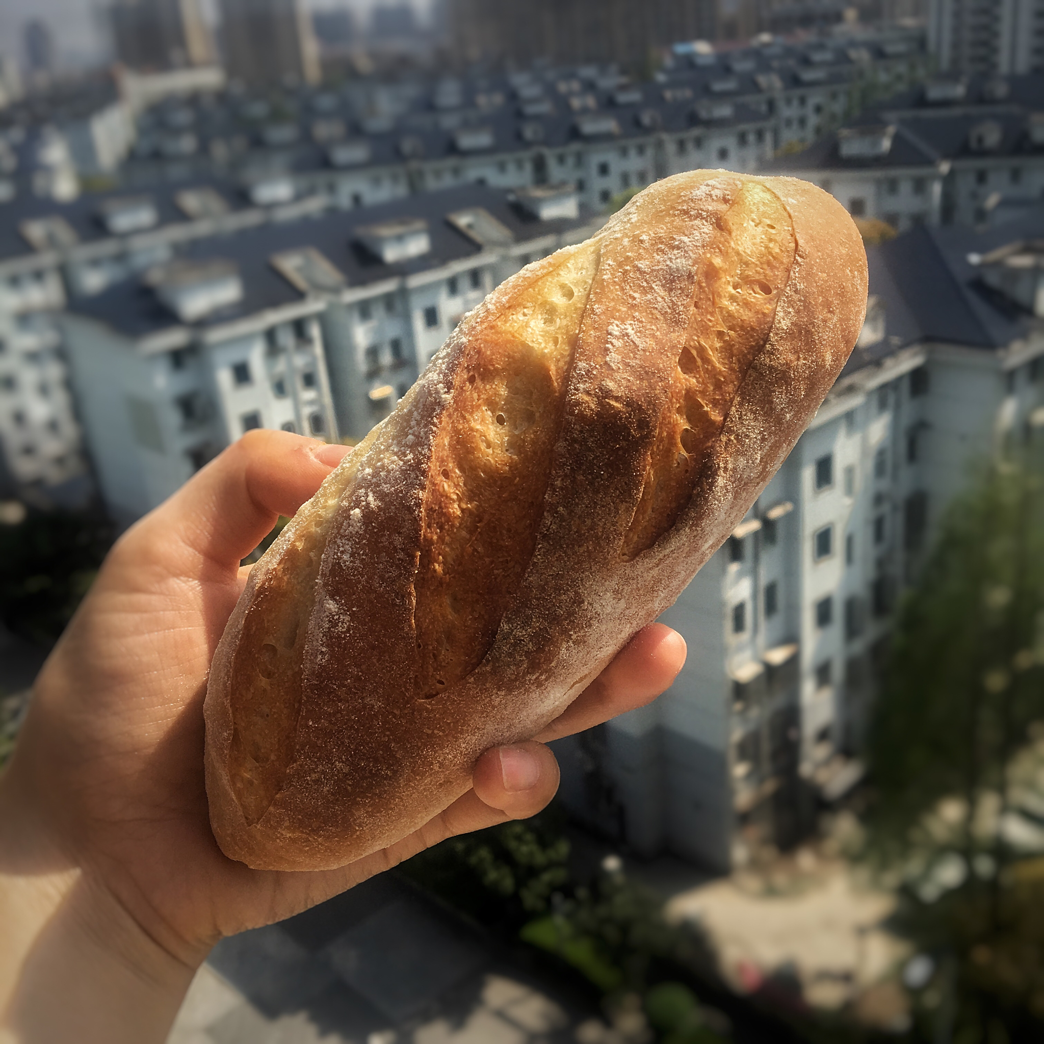 法棍 Baguette（吴宝春改版）