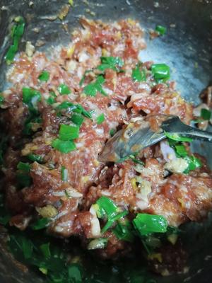 蒸饺子，肉馅香、皮软糯的要点的做法 步骤5