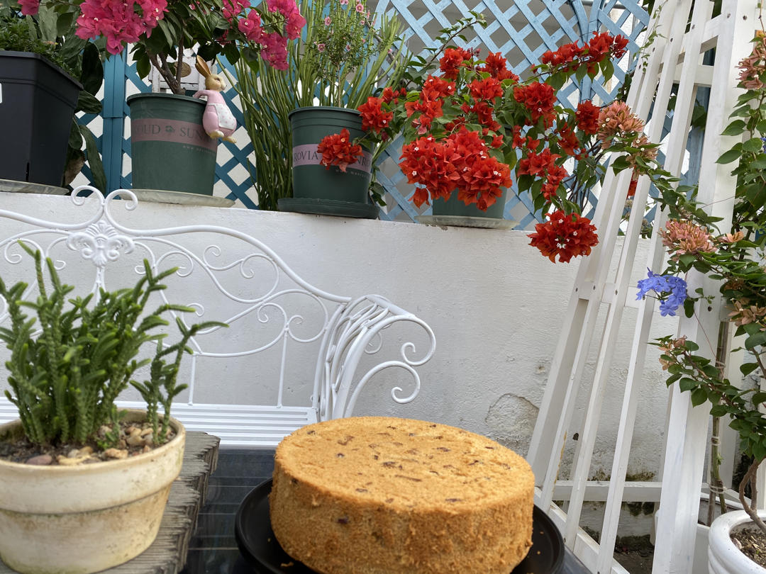 红枣红糖戚风蛋糕（6寸）