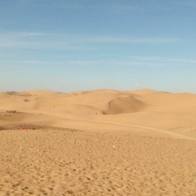 辉--8