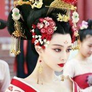 大美人玫瑰花